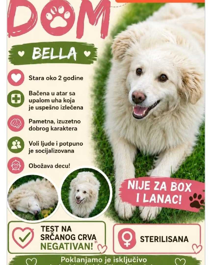 Pulinka Bella traži dom