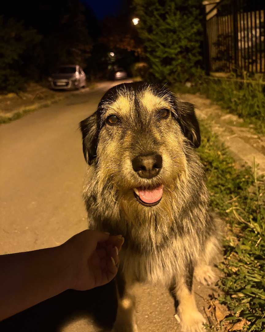 Duška
