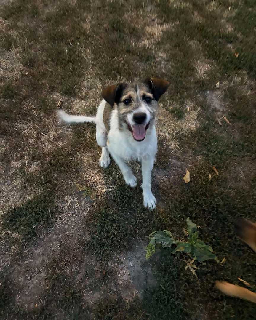 Leo