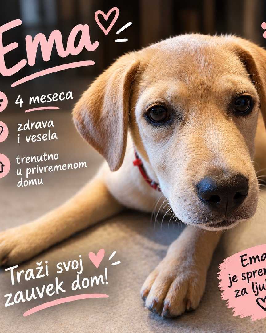 Trazim porodicu ❤️
