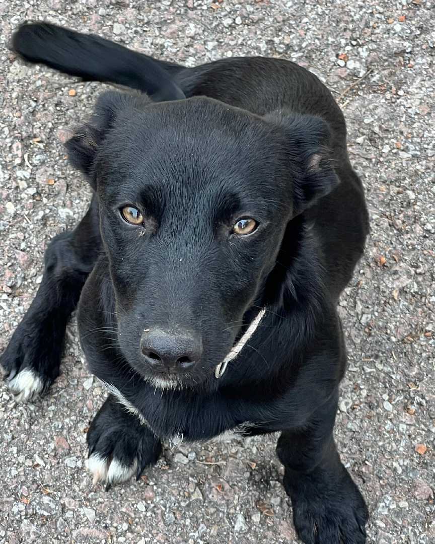 Kira