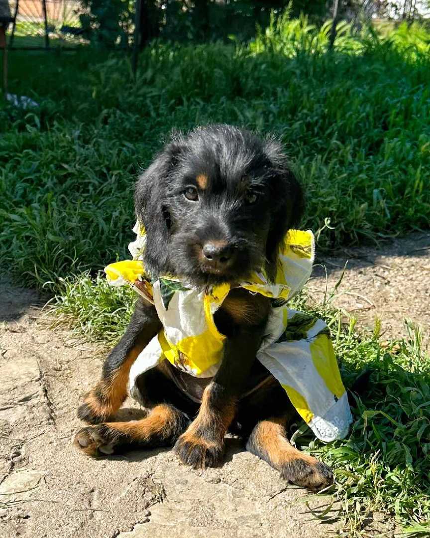 Чупка ♥️